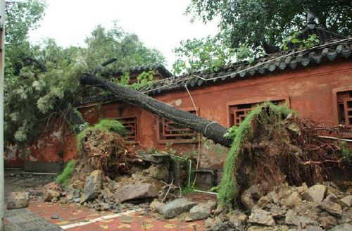 风雨雷雹昨日齐聚川南 泸州暂别“高温苦海”(图1) 风雨雷雹昨日齐聚川南 泸州暂别“高温苦海”(图1)