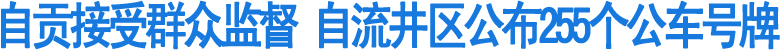 自流井255辆公车"亮牌"接受监督(图1)