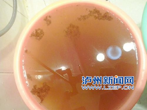 泸州胡市镇自来水受污染(图1) 泸州胡市镇自来水受污染(图1)