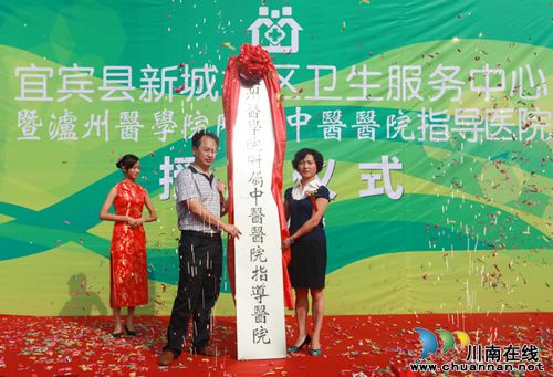 宜宾：社区卫生服务弘扬中医养生(图4)