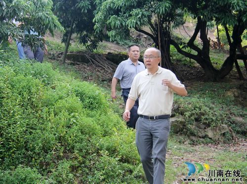 朱华率队专题调研通滩温泉度假小镇项目规划编制工作(图1)
