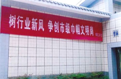 一路走来的泸州公厕(图10)