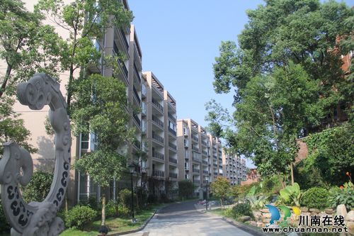 泸州龙车：建管齐下&nbsp;生态龙车更宜居(图2)