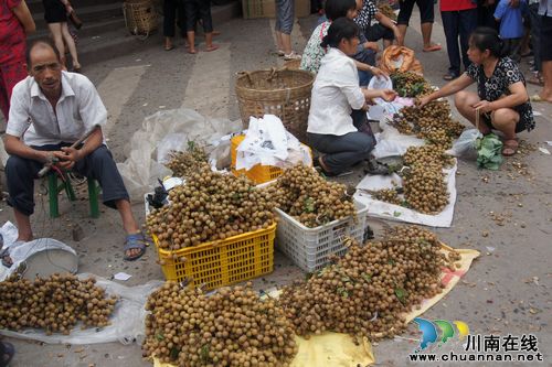 太伏镇：龙眼销售热火朝天(图2)