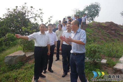 王宁视察泸州张坝桂圆林旅游区(图1)