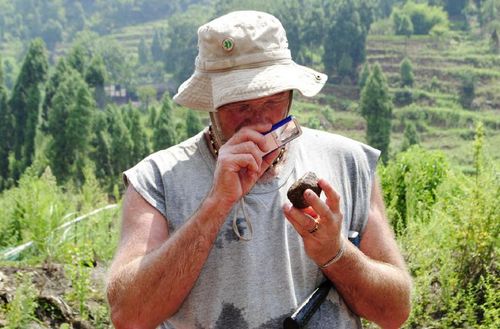 十几只食草恐龙2亿年前“漫步”古蔺岩壁(图2)