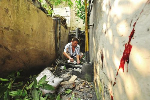 宜宾：二师兄凌晨"越狱"&nbsp;栽在燃气管上(图2)