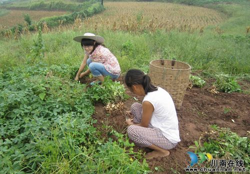 方洞镇：青年干部争做群众“贴心人”(图2)