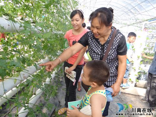 特兴镇：亲子实践促家庭教育(图1)