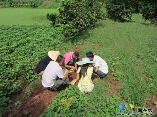 江阳区加强对土壤的监测管理(图1)