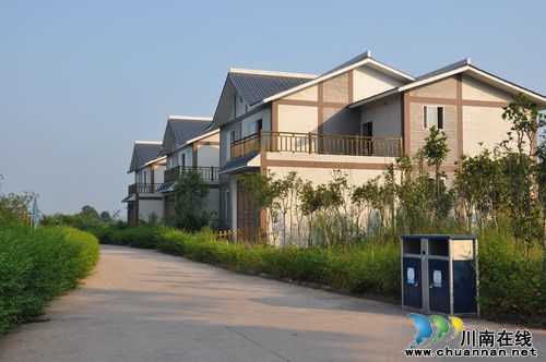 天仙镇：城乡环境的“华丽转身”(图2)