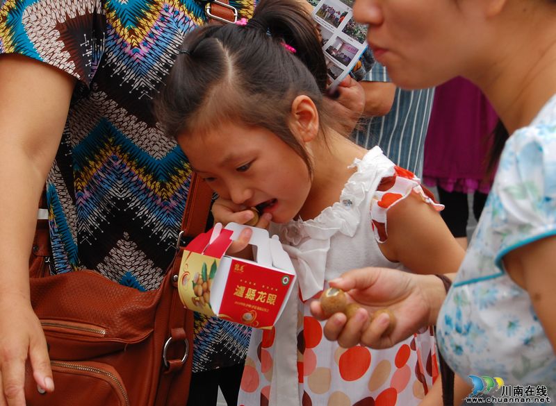 "中华名果"蓉城市民争相品尝(图14)