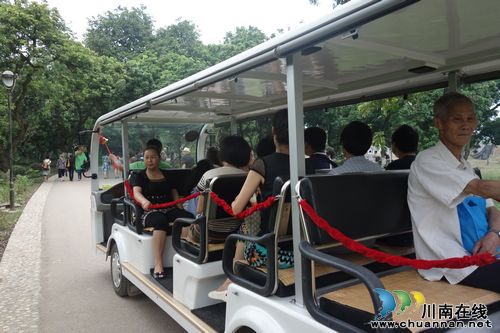 泸州张坝桂圆林硕果累累&nbsp;日均游客数千周末破万(图1)