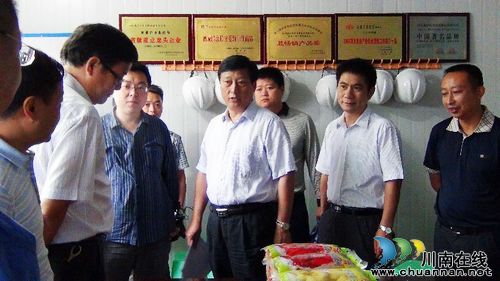 泸州市委副书记曹建国到叙永江门镇调研重点项目推进情况(图2)