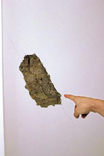 新房才住1年&nbsp;墙体裂出“蜘蛛纹”(图2)