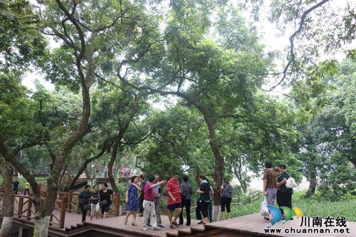 张坝景区全力冲刺 确保如期开园(图1) 张坝景区全力冲刺 确保如期开园(图1)