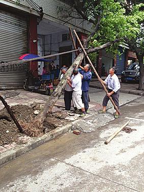 自贡内江入秋,泸州宜宾稍等 提醒:预防感冒(图1) 自贡内江入秋,泸州宜宾稍等 提醒:预防感冒(图1)
