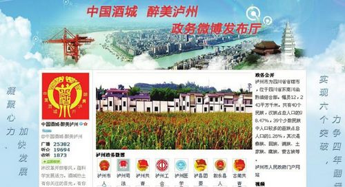 政民互动9月20日前&nbsp;泸州政府各部门须开微博(图1)