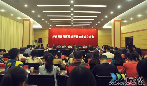 江阳区网络行业协会成立&nbsp;本网当选常务理事(图1)