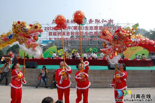 首届纳溪桂花节开幕&nbsp;为期一周十大看点(图10)