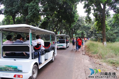 泸州张坝桂圆林开门迎客 试运营期间暂不收费(图8) 泸州张坝桂圆林开门迎客 试运营期间暂不收费(图8)