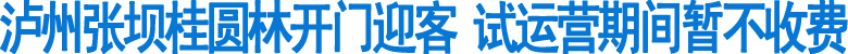 泸州张坝桂圆林开门迎客(图1)