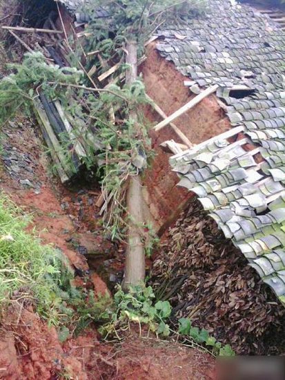 泸州纳溪遭大风冰雹袭击 大树被连根拔起(图1) 泸州纳溪遭大风冰雹袭击 大树被连根拔起(图1)