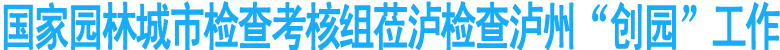 泸州“创园”工作接受检查
