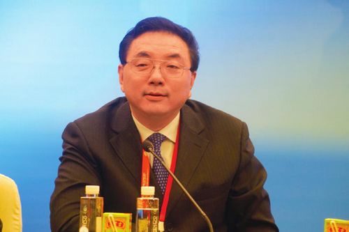 4市书记、市长向世界华商推介川南优势(图3) 4市书记、市长向世界华商推介川南优势(图3)