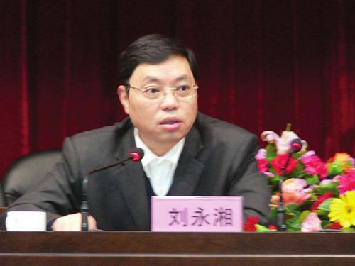 4市书记、市长向世界华商推介川南优势(图4) 4市书记、市长向世界华商推介川南优势(图4)