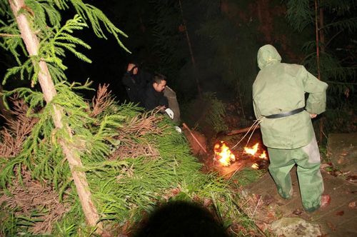 毒蜂突袭放学路 宜宾珙县7岁小女孩伤重死亡(图1) 毒蜂突袭放学路 宜宾珙县7岁小女孩伤重死亡(图1)