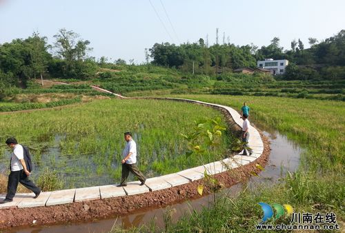 毗卢镇:民生工程开新花 石板大路修到家(图1) 毗卢镇:民生工程开新花 石板大路修到家(图1)