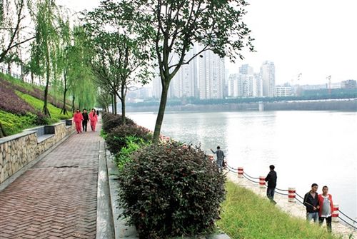 "在内江生活很舒适"(图2) "在内江生活很舒适"(图2)