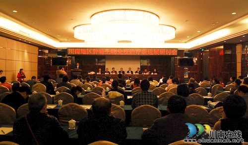 泸医中医院举办川南肿瘤生物免疫新进展研讨会(图3)