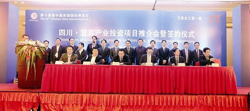 借力西博会宜宾签订117个项目总金额864.7亿元(图1)