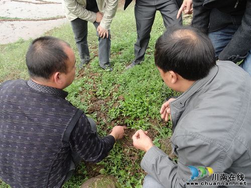 尧坝镇:天堂坝村一心为民 积极探索产业致富路线(图1) 尧坝镇:天堂坝村一心为民 积极探索产业致富路线(图1)