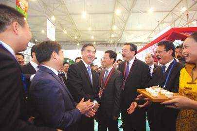 西博会视察泸州、宜宾馆&nbsp;汪洋询问"两瓶酒"(图1)