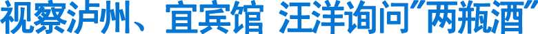 视察泸州、宜宾馆&nbsp;汪洋询问"两瓶酒"(图1)