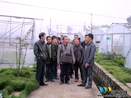华阳街道:马蹄乡组织参观学习华阳新村建设(图1) 华阳街道:马蹄乡组织参观学习华阳新村建设(图1)