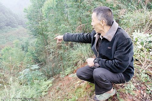 宗场“五保户”去世&nbsp;部分林地补偿款蒸发(图1)