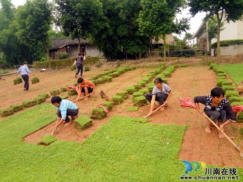 华阳街道：“小方格”框出新农村(图1)