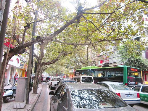 缓堵早高峰内江北街最堵&nbsp;市民调侃"通火车"(图1)