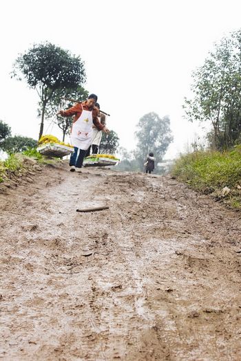 宜宾：柑橘丰收无法运出&nbsp;上千村民因路发愁(图1)