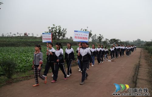 泸州：娃娃田间学技能(图3)