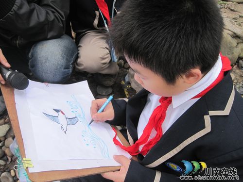 泸州纳溪：保护红嘴鸥，从我做起(图3)