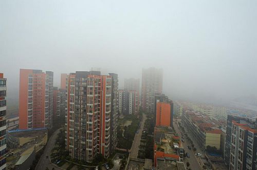 川南四城昨齐发大雾预警&nbsp;未来还将受影响(图3)