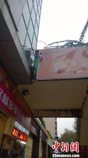 小狗被人吊死闹市区 作恶者仅能以影响市容处罚(图1) 小狗被人吊死闹市区 作恶者仅能以影响市容处罚(图1)