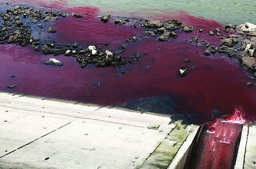 征集线索市民爆料紫红色污水排入沱江泸州段(图1)