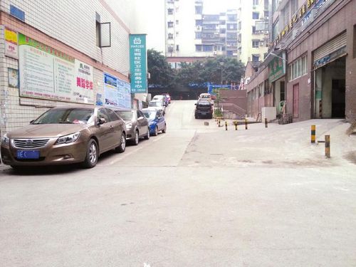 泸州一小区私划“山寨”停车位(图1)
