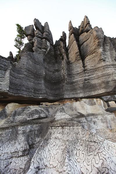 梅硐竹石林现"豹皮纹灰岩" 距今已有近5亿年(图1) 梅硐竹石林现"豹皮纹灰岩" 距今已有近5亿年(图1)